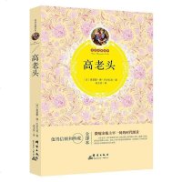 [二手8成新]高老头 9787519302160