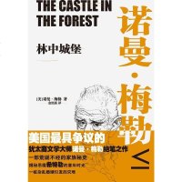 [二手8成新]林城堡 9787539981079