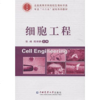 [二手8成新]细胞工程 9787565509698