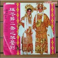 【二手8成新】梅花谍影 9787500868040