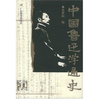 [二手8成新]国鲁迅学通史(索引) 9787540651824
