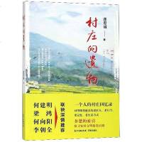 【二手8成新】村庄的遗物 9787536086616