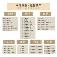 [二手8成新]七色阳光小少年:飞翔的青春鸟 9787538758900