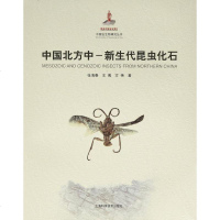 [二手8成新]国北方-新生代昆虫化石 9787547828793