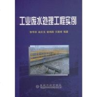 【二手8成新】工业废水处理工程实例 9787502447892