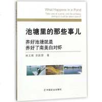 [二手8成新]池塘里的那些事儿(养好池塘就是养好了南对虾) 9787109236219