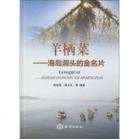 【二手8成新】羊栖菜------海岛洞头的金名片 9787502786458