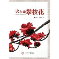 [二手8成新]火红的攀枝花 9787562337348