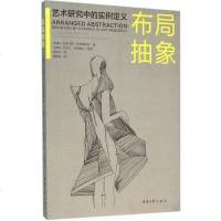 【二手8成新】布局抽象：艺术研究的实例定义 9787566909572