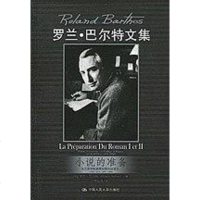 [二手8成新]小说的准备 9787300119731