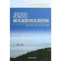 [二手8成新]巢湖磷本底影响及其控制 9787511107442