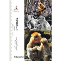 [二手8成新]金丝猴的社会(第2版) 9787301251553