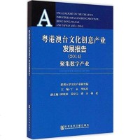 [二手8成新]粤港澳台文化创意产业发展报告(2014)— 聚集数字产业 9787509770405