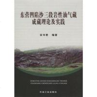 [二手8成新]东营凹陷沙三段岩性油气藏成藏理论及实践 9787502164294