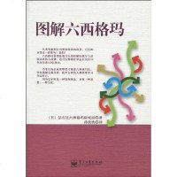 [二手8成新]图解六西格玛 9787121098666
