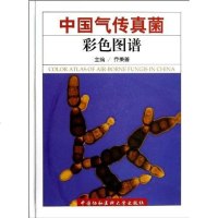[二手8成新]国气传真菌彩色图谱 9787811367553