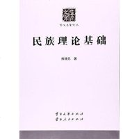 [二手8成新]民族理论基础/学术名家文丛/云南文库 9787548212584