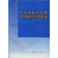 【二手8成新】华北新元古界油气地质与沉积学 9787116022638