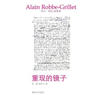 【二手8成新】重现的镜子 9787540449636