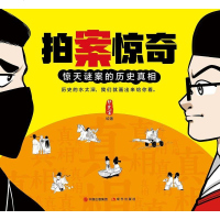 [二手8成新]拍案惊奇 9787514377767