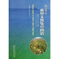 [二手8成新]内蒙古典型天然牧草图谱 9787511607133