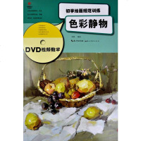[二手8成新]初学绘画规范训练:色彩静物(DVD视屏教学) 9787539463339