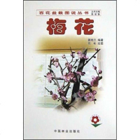 [二手8成新]梅花 9787503836312