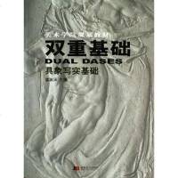[二手8成新]双重基础 9787538619485