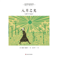 [二手8成新]八月之光 9787532169030