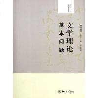 [二手8成新]文学理论基本问题 9787301201312