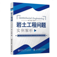 【二手8成新】岩土工程问题实例解析 9787512135611