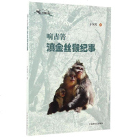 [二手8成新]响古箐滇金丝猴纪事 9787503889066