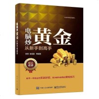 [二手8成新]电脑炒黄金从新手到高手 9787121297991