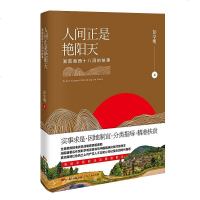 [二手8成新]人间正是艳阳天 9787218132181