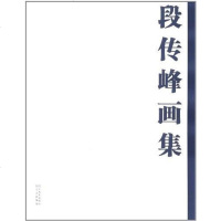 [二手8成新]段传峰画集 9787541047343