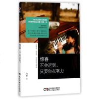 [二手8成新]惊喜不会迟到只要你在努力 9787513915236