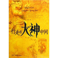 [二手8成新]行走在大神间 9787504350244