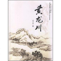【二手8成新】黄龙川 9787227038122