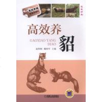 [二手8成新]高效养貂 9787111554899