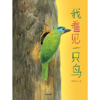 [二手8成新]我看见一只鸟 9787533279394