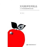 [二手8成新]文化批评往何处去 9787546345642