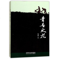 [二手8成新]青春火花 9787551312226