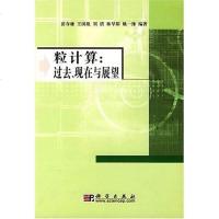 [二手8成新]粒计算 9787030195708