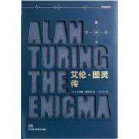 [二手8成新]艾伦图灵传 9787535787217