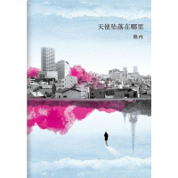 [二手8成新]天使坠落在哪里 9787530213537