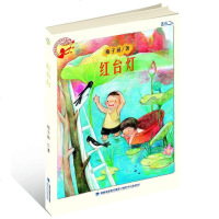 [二手8成新]红台灯 9787539541853