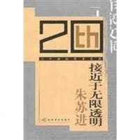 [二手8成新]接近于无限透明 9787539919768