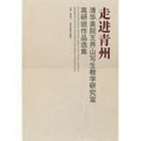 【二手8成新】走进青州 清华美院王界山写生教学研究室高研班作品选集 9787514001181
