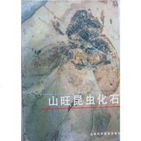 [二手8成新]山旺昆虫化石 9787533104122