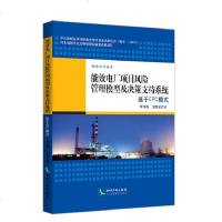 [二手8成新]能效电厂项目风管理模型及决策支持系统:基于EPC模式 9787513037259